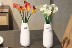 馬蹄蓮插花瓶能養(yǎng)多久，養(yǎng)護(hù)得當(dāng)可保存半個(gè)月以上