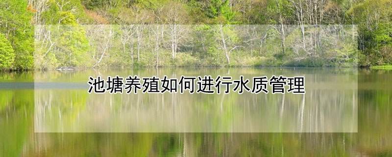 池塘養(yǎng)殖如何進(jìn)行水質(zhì)管理