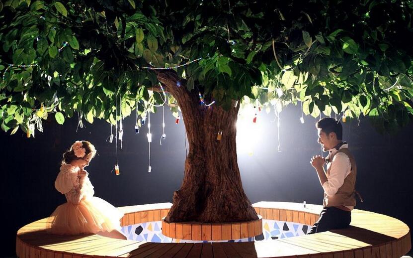 幸福樹的葉子全蔫了，從4個(gè)方面解決出現(xiàn)的問題