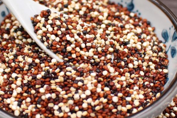 藜麥的種植時(shí)間和條件