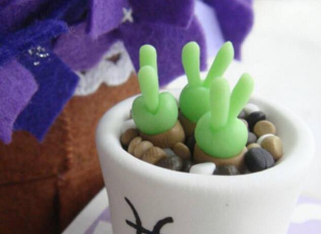 碧光環(huán)用什么樣的土，最好配制適合植物生長的透氣土壤