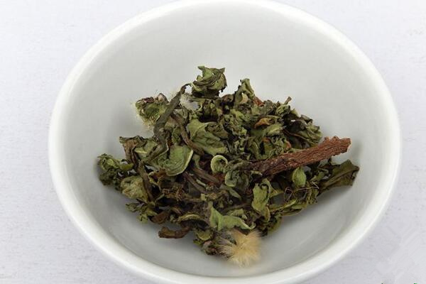 蒲公英泡水喝的禁忌，蒲公英泡水四大禁忌