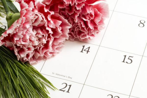 康乃馨小苗太密怎么辦