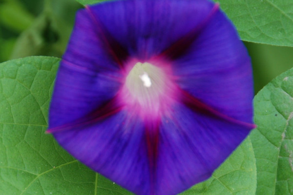 牽?；ㄏ矚g水嗎