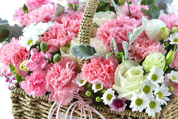 康乃馨插在水里怎么養(yǎng)