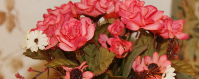 盆栽四季玫瑰怎么養(yǎng)