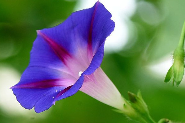 牽?；ㄒ圃院笮氯~變干怎么辦