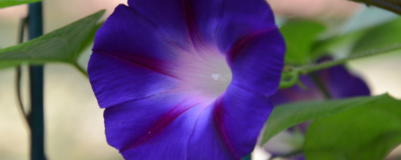 牽?；ㄏ矚g水嗎