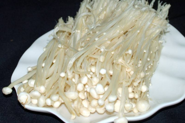 金針菇菌包怎么養(yǎng)出來(lái)