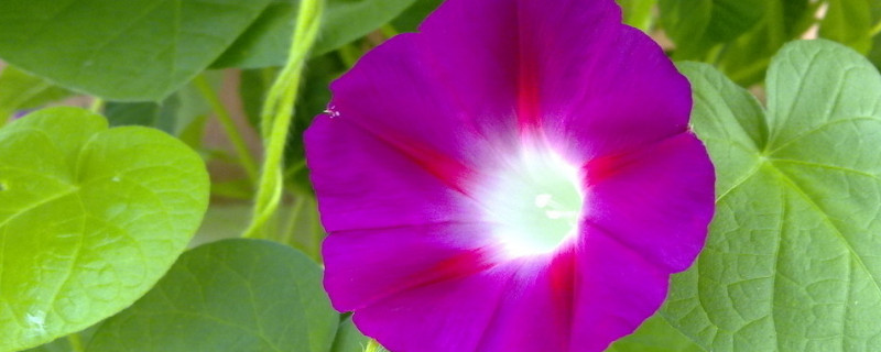 牽?；ㄩL太高怎么辦