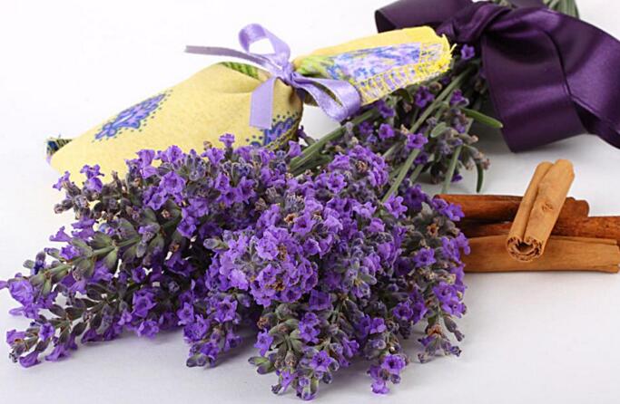 藍(lán)色薰衣草花語(yǔ)，一對(duì)戀人之間的心心相印