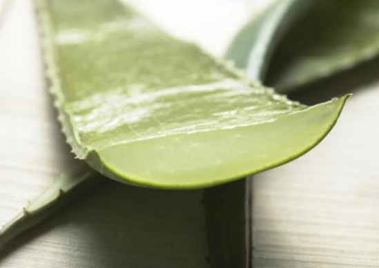 蘆薈有什么營養(yǎng)，富含膳食纖維、礦物質(zhì)(維生素豐富)