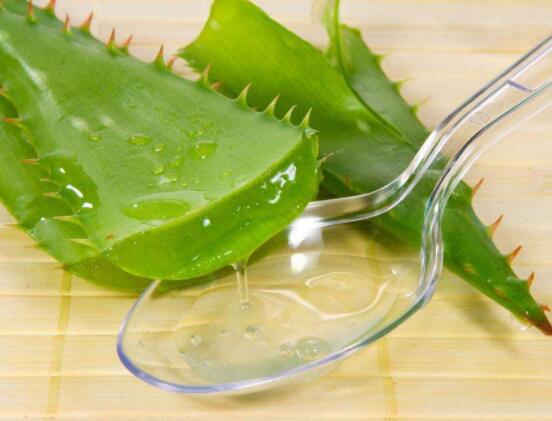 蘆薈美容正確使用方法，教你最實(shí)用的五種好用法