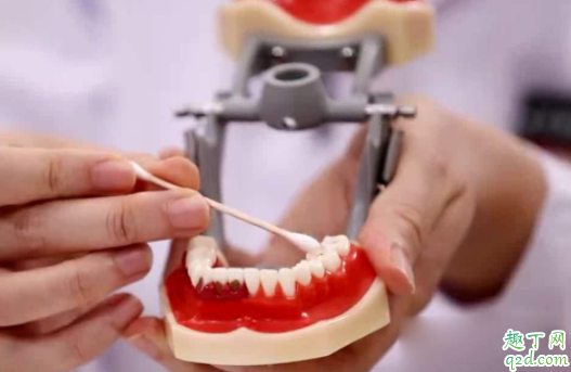 寶寶出牙會(huì)有低燒嗎 小孩先長上牙還是下牙4