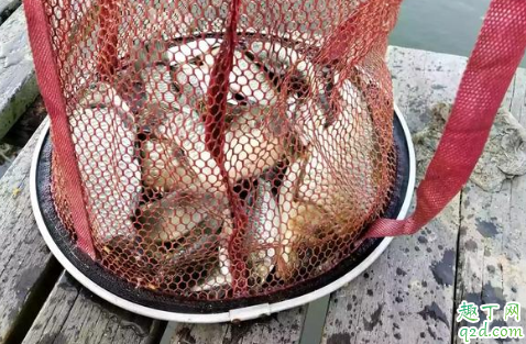 閑魚上的品牌魚鉤怎么樣 正規(guī)品牌魚鉤在哪買比較好1