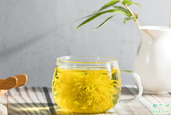 臨產(chǎn)能喝菊花水嗎 孕期火氣大喝菊花水好嗎4