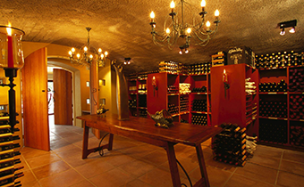 紅酒柜能放飲料嗎 紅酒柜里還能放什么物品