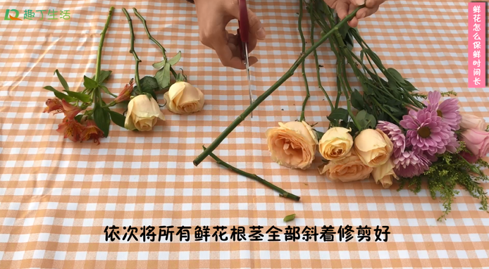 1543297748499136.png image.png