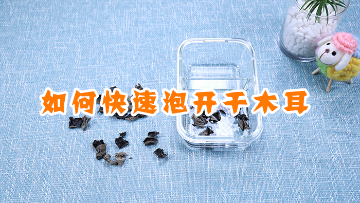 如何快速泡開干木耳