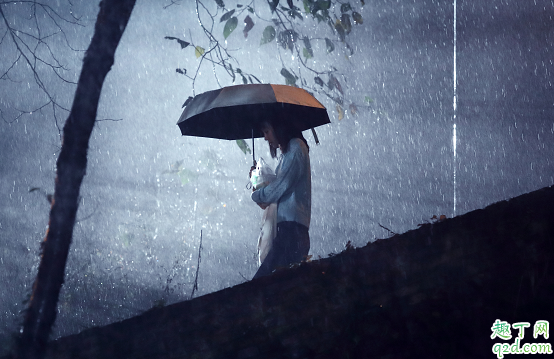 漫長(zhǎng)的告別何時(shí)播出在哪看 漫長(zhǎng)的告別具體更新時(shí)間1