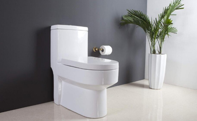 馬桶一般用幾年更換 馬桶什么情況下要更換