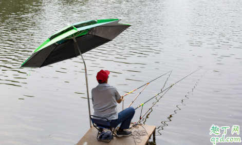 怎樣靠釣魚賺錢 漁具店進貨渠道一覽20203