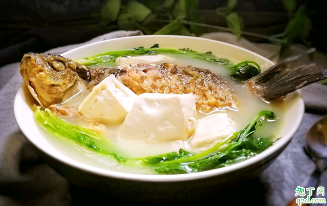 鯽魚湯加冷水會怎樣 鯽魚湯用冷水是不是就煮不白了1