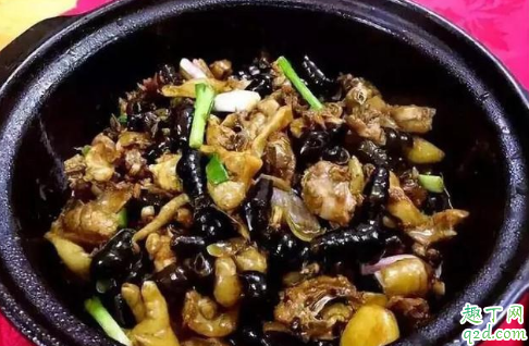 山坑螺值得人工養(yǎng)殖嗎 養(yǎng)殖山坑螺賺錢嗎3