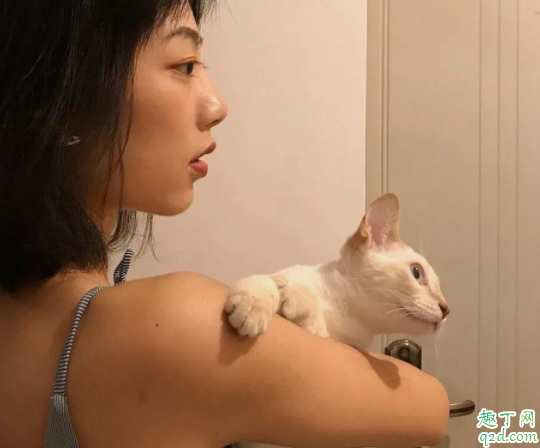 2019伊樂app二維碼下載 伊樂手機app官網版哪里有2