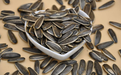 吃瓜子尿酸會(huì)高嗎 吃瓜子致癌是真的嗎