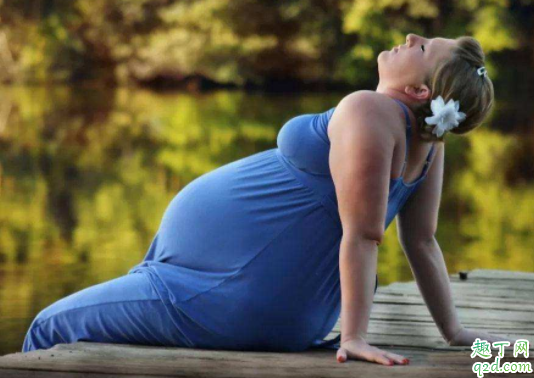 胎芽是卵黃囊發(fā)育的嗎 有卵黃囊沒(méi)胎芽胎心多長(zhǎng)時(shí)間可以判定胎停4