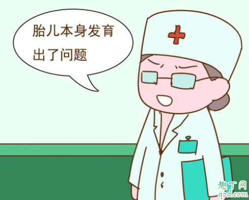 懷孕了為什么會出現(xiàn)胎停育了 胎停育后懷孕做什么檢查4