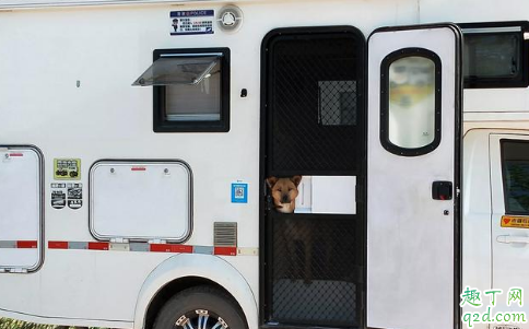 房車晚上睡覺怎么通風(fēng) 睡在房車?yán)飼?huì)不會(huì)缺氧3