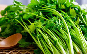 香萊根爛了一點還能吃嗎 香萊該如何保存