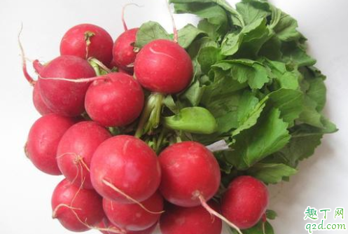 蘿卜糠心是什么意思 水蘿卜糠了是什么原因4