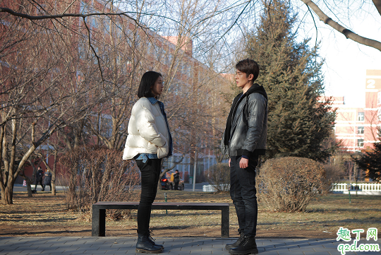 你是我的奇跡何時播出在哪看 你是我的奇跡具體更新時間3