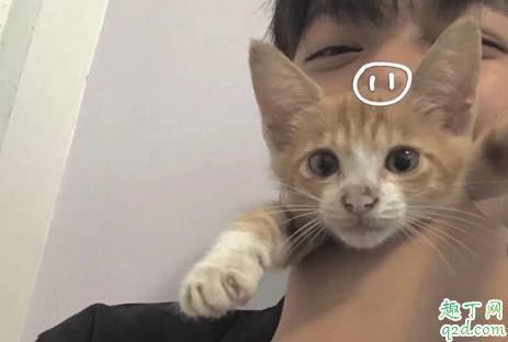 擼一次幾天才能恢復(fù)過(guò)來(lái) 青少年擼完飛機(jī)后頭暈怎么辦3