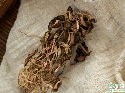 金線蓮多少錢一斤 金線蓮哪里的品種最好2