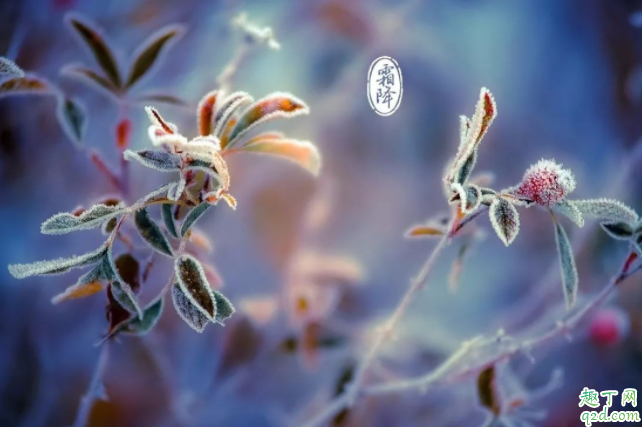 2020什么時(shí)候霜降 霜降下來(lái)是哪個(gè)節(jié)氣4