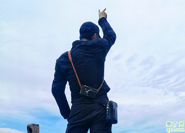 鶴唳華亭根據(jù)什么改編的 鶴唳華亭原著TXT免費閱讀地址4