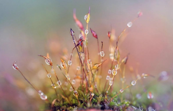 2020年寒露能登記結婚嗎 2020年寒露可以結婚擺酒席嗎5