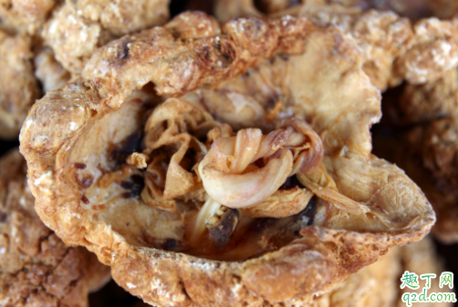 生了寶寶胎盤怎么處理 胎盤真的能吃嗎3