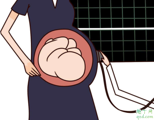 懷孕后沒有看到胎心胎芽怎么回事 懷孕多長時間用胎心監(jiān)護(hù)器4