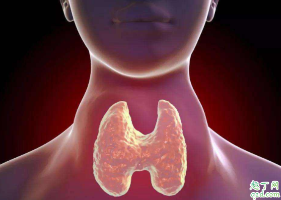 女性有甲減可以要小孩嗎 孕期甲減可以吃藥嗎3