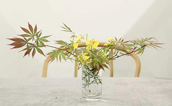 插花可以用生理鹽水嗎 生理鹽水可養(yǎng)插花嗎