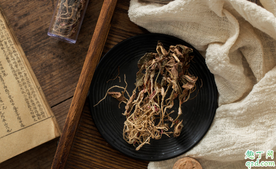 金線蓮可以人工種植嗎 金線蓮怎么種植成活率高1