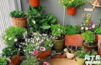 五十歲失業(yè)還能做什么 五十歲失業(yè)如何再就業(yè)4