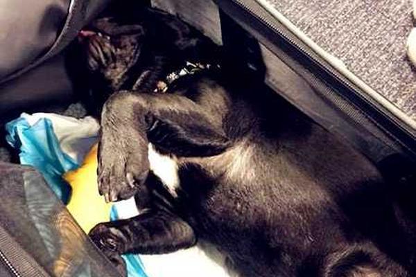 [機制“]拆墻”科技織網(wǎng) 長三角探索跨省生態(tài)治理新范式