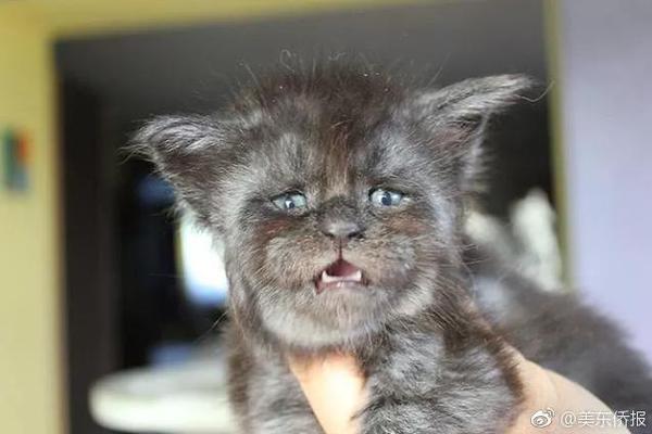 “西藏那”曲市雙湖縣發(fā)生5.0級地震 震源深度10千米