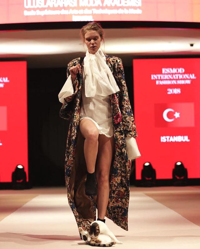 《天津高》?！肮婕小遍_(kāi)進(jìn)寧河 62家展位“擺攤”送服務(wù)